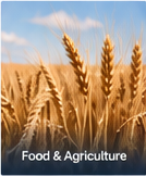 Food & Agriculture