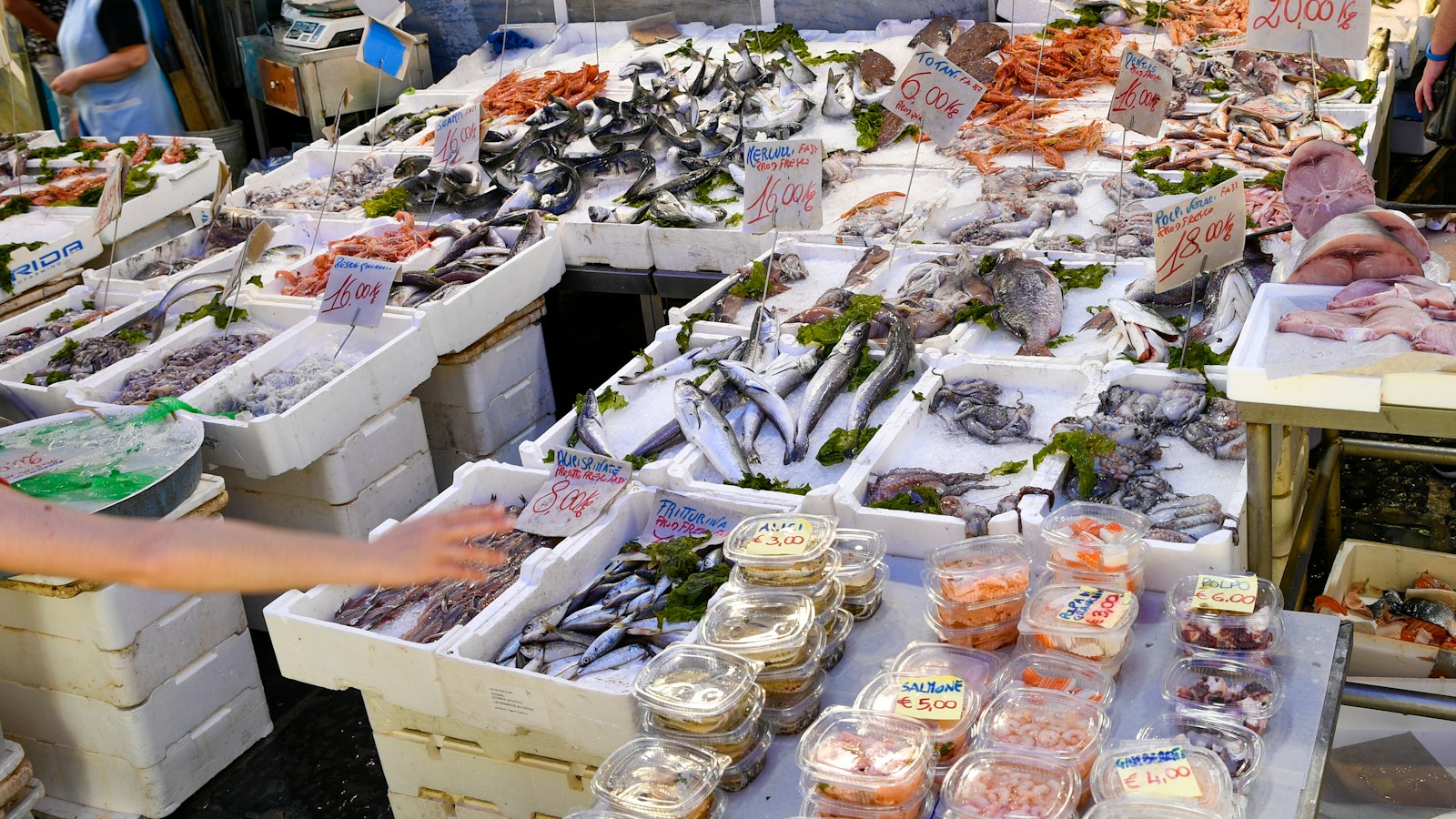 Seafood & Frozen Foods